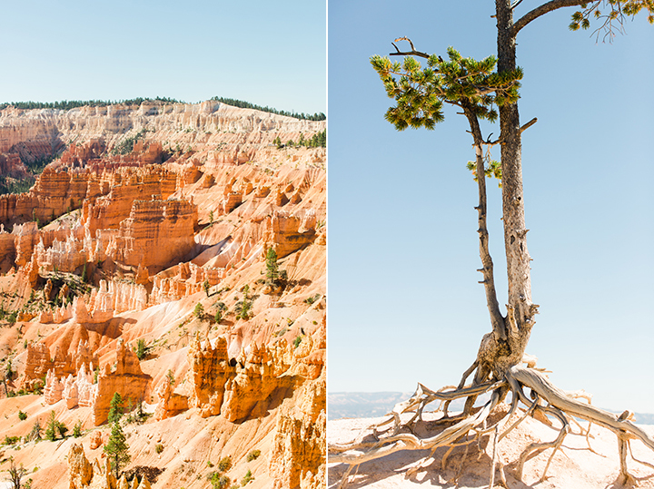 Amy Rae Co Our Adoption Story Family Adventures Bryce Canyon